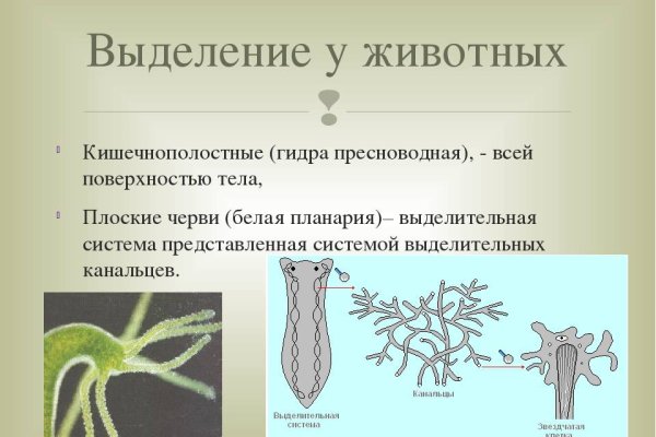 Кракен рабочая ссылка на сайт
