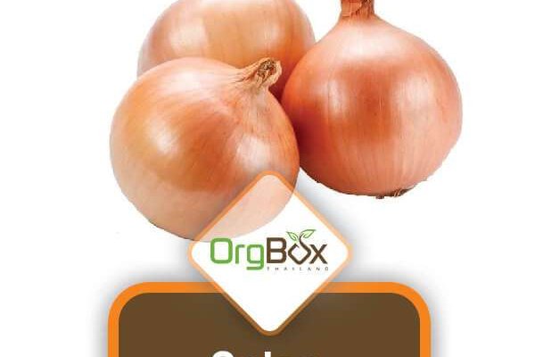 Kraken рабочая ссылка onion
