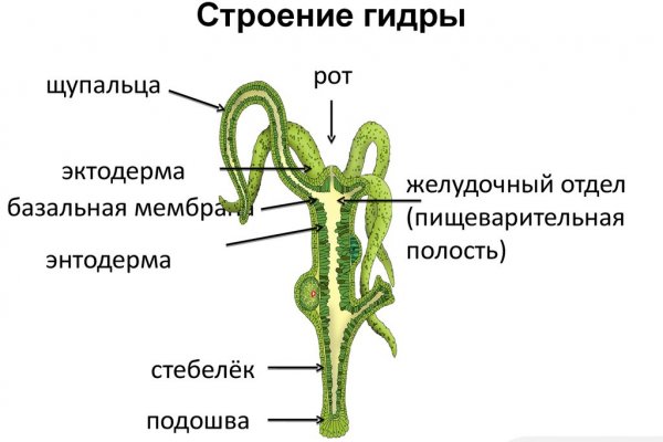 Кракен как зайти