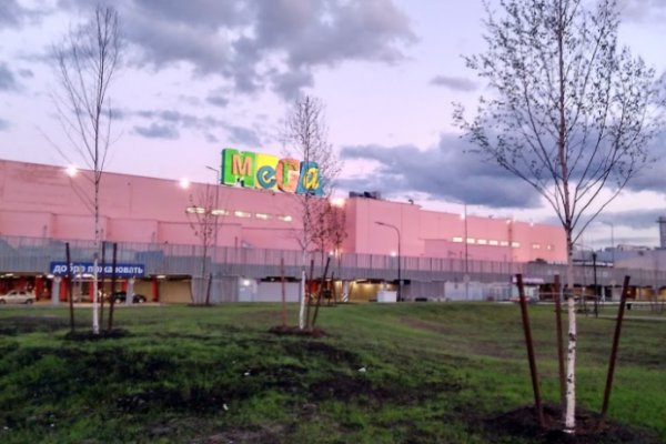 Рабочий кракен