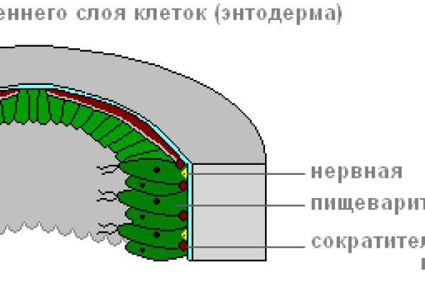 Сайт kraken darknet